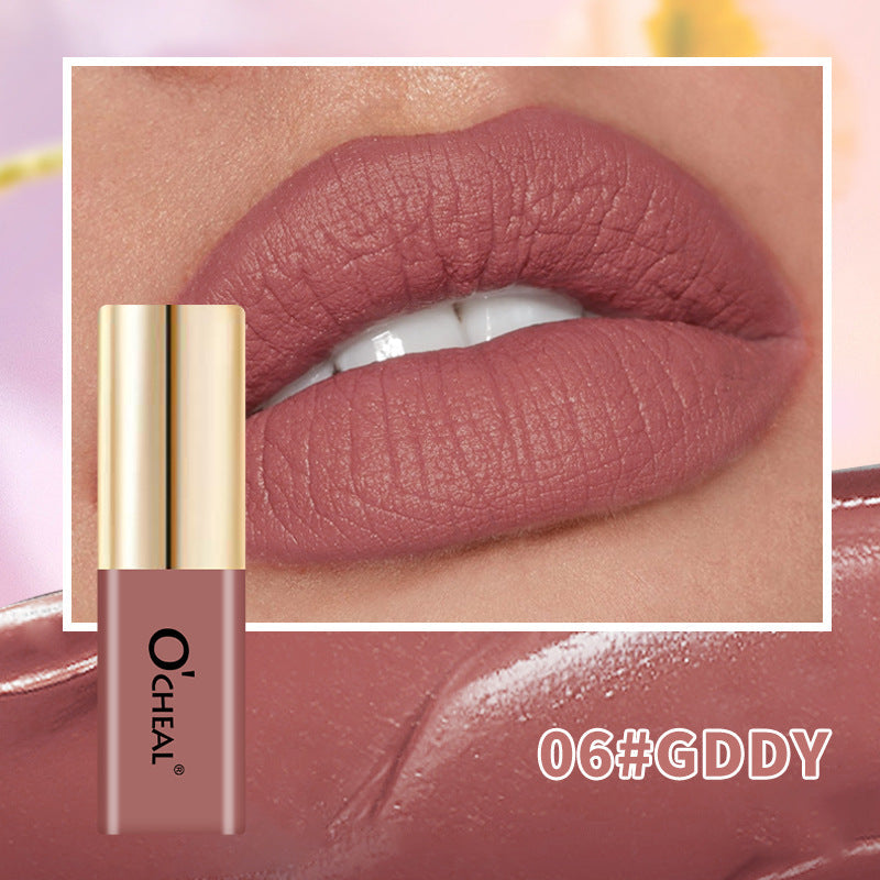 OCHEAL Small Bottle Matte Velvet Waterproof Long Lasting Lip Glaze