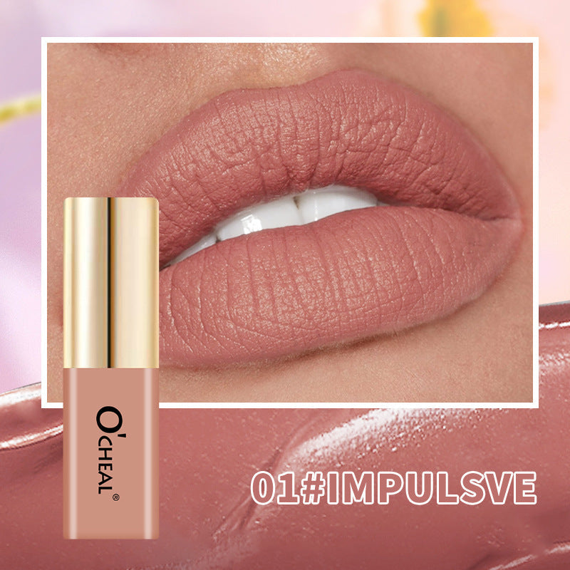 OCHEAL Small Bottle Matte Velvet Waterproof Long Lasting Lip Glaze
