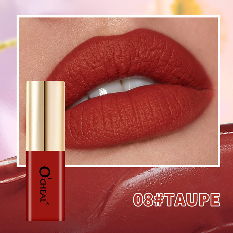 OCHEAL Small Bottle Matte Velvet Waterproof Long Lasting Lip Glaze