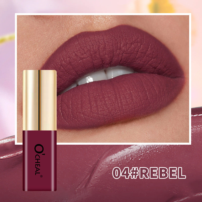 OCHEAL Small Bottle Matte Velvet Waterproof Long Lasting Lip Glaze
