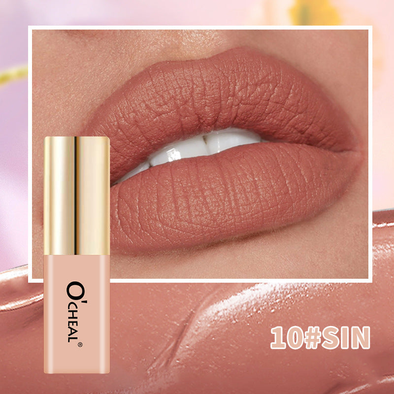 OCHEAL Small Bottle Matte Velvet Waterproof Long Lasting Lip Glaze