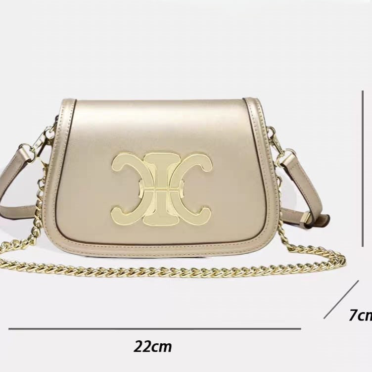 Celine Classique Triomphe Bag