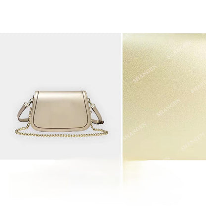 Celine Classique Triomphe Bag